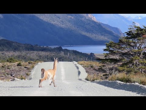 Tierra del Fuego, Chile