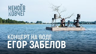 Егор Забелов | Концерт на воде | Неноев ковчег