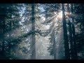 Mail - Alan Waler Style ( Shahee Remix )