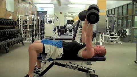 Self Made Exercise Index:  DB Power Flat Bench