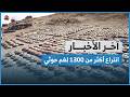 انتراع أكثر من 1300 لغم حوثي خلال أسبوع آخر الأخبار