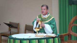 Friday Mass - July 10, 2026 14th Wk Ord Time
