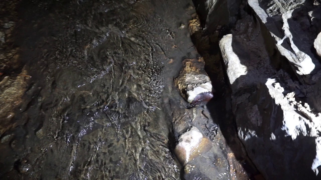 Underneath Downtown Macon Part 1