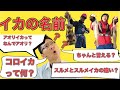 【大人の自由研究】イカの名前その①　アオリイカの名前の由来は？どんな漢字を書くの？スルメとスルメイカの違い？え？そんなのあるの？とにかく多いイカの名前。きっちり整理します！