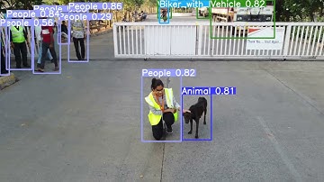 Animal detection through Drone