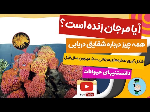 تصویری: صخره مرجانی. صخره مرجانی بزرگ دنیای زیر آب صخره های مرجانی