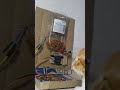 COMEDERO AUTOMÁTICO PARA MASCOTAS #electronics #electricidad #ingenieria #led #ARDUINO