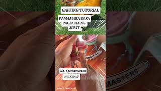 Gaffing Tutorial,, Pano Kumuha Ng Sipat. Mga Pamamaraan.