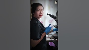 Nước máy nhiễm bẩn khi soi dưới kính hiển vi 97 🔬