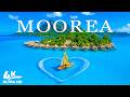 Moorea 4K Drone Footage | Emerald Lagoons, Volcanic Peaks & Tropical Island Views UHD