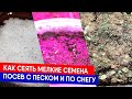 Посеять мелкие семена совсем несложно