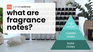 What are Fragrance Notes? | Learn how to describe scents using fragrance notes screenshot 1