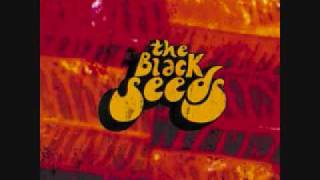 The Black Seeds - Little Atoms