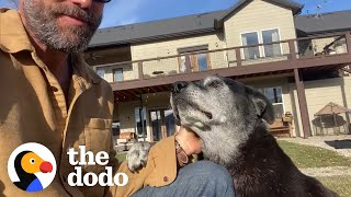 Senior Shelter Dog Starts Galloping Like A Puppy | The Dodo