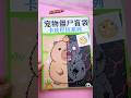 Mở hộp thú cưng zombie: Chú capybara biến thành quái vật cam #viral #handmade #fyp