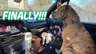 BROKEN MIATA UPDATE!
