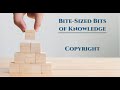 BBK BP 28: Introduction to Intellectual Property; Copyright