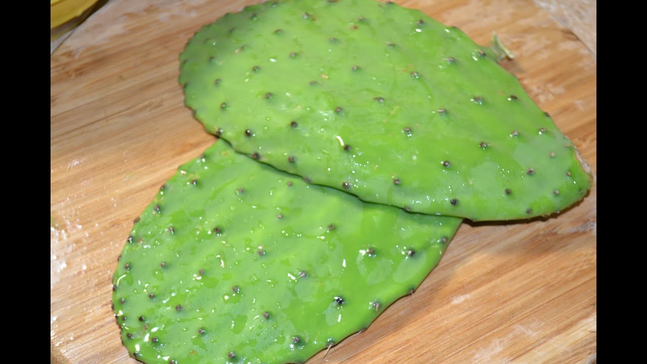 Nopales con tortillas y huevos YouTube