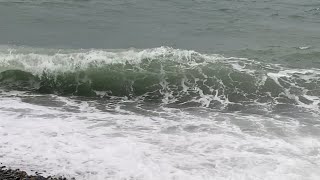 28.12.2022. Погода в Сочи в декабре. Смотри на Чёрное море каждый день.
