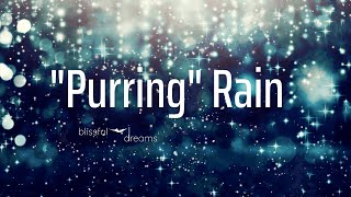 Cat Purring to Sleep | THE LOUDEST PURRING in the Rain | Feeling Peaceful & Happy by Blissful Dreams 39,136 views 2 years ago 2 hours