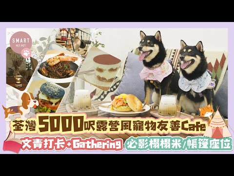 【荃灣5千呎露營風寵物友善Cafe🐶☕️文青打卡必影榻榻米/帳篷座位🏕】 【荃灣5千呎露營風寵物友善Cafe🐶☕️文青打卡必影榻榻米/帳篷座位🏕】