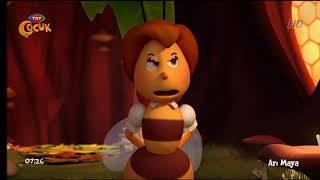 Ari Maya Bir Günlük Kraliçe