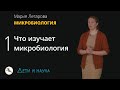 1. Что изучает микробиология? Мария Летарова - Микробиология 10 - 11 класс