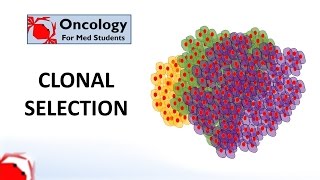 8. Clonal Selection