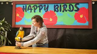 Happy Birds Fun 😅 by Happy Birds 114 views 4 years ago 28 seconds