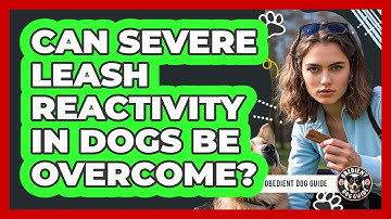 Can Severe Leash Reactivity In Dogs Be Overcome? - Obedient Dog Guide
