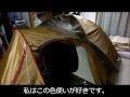 ソロキャンプを楽しもう。テント紹介③ アメニティドームS Amenity dome S
