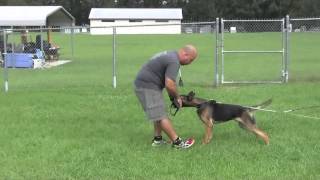 Police Decoy PP Presentation