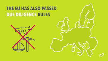 Putting Human Rights Due Diligence into Law