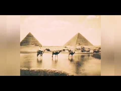 أغنية كلمة حبيبي للفنانة هدى زايد