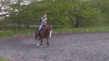 EaZy - HorseZ training: reining pattern part 3  circles and lead change, rundown+stop
