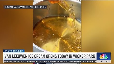 Van Van Leeuwen Ice Cream opens 1st shop in Chicago, with another on the way
