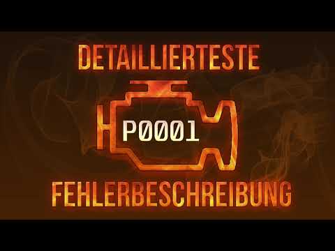 P0001 detaillierteste Fehlerbeschreibung