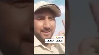 احمص #سنجور