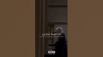 القارئ : محمد أبا الحسن || سورة آل عمران