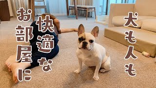 犬も飼い主も快適なお部屋に模様替え！【フレンチブルドッグ】