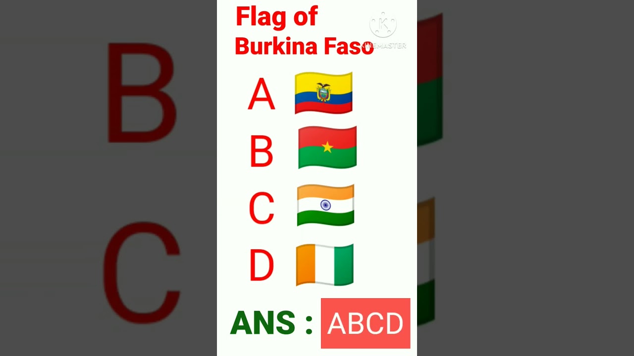 National flag of Burkina Faso. #youtubeshorts