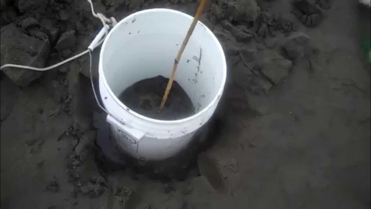 Digging Large Gaper Clams From Netarts Bay YouTube