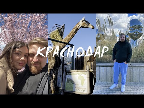 Влог из Краснодара
