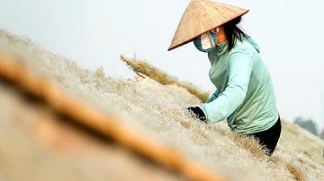 Nghề làm miến dong làng So | Ẩm thực 4 Phương