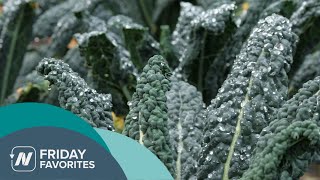 Friday Favorites: The Benefits of Kale and Cabbage for Cholesterol