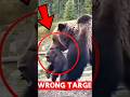 4 ZWIERZĘTA, które lepiej by zrobiły, gdyby zostały w łóżku 🌍😱‼️#top3 #facts #animaux #shorts