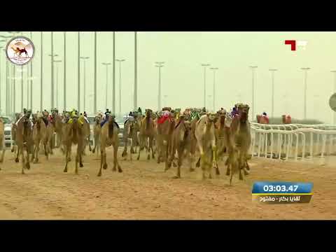 ش19 الباسله ل حمد راشد محمد بن صفوه مهرجان سمو الأمير الوالد 23 1 2023ص لقايا بكار 7 31 81