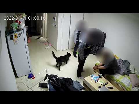 발달장애인 특성 알아차리지 못하고&amp;quot;비협조적&amp;quot;이라며 수갑 채우고 진압한 경찰