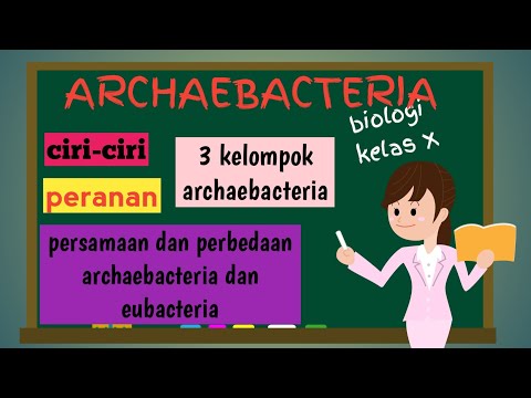 Video: Apakah bakteri dan archaea uniseluler?