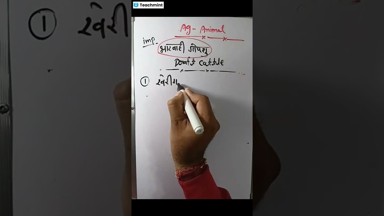 MP PAT Important Topic 2026 | MP PAT Syllabus 2025 | mp pat Important Syllabus 2025 | 💯 Selection🔥